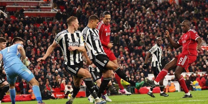 Soi kèo Newcastle United vs Liverpool có phong độ khác biệt